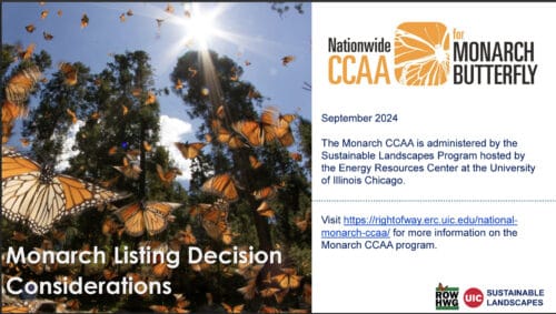 A vibrant scene of Monarch butterflies in flight among trees, highlighting the Monarch CCAA program's focus on conservation and sustainability. The image accompanies information about the program administered by the Sustainable Landscapes Program at the University of Illinois Chicago, emphasizing the importance of Monarch butterflies and their habitat.